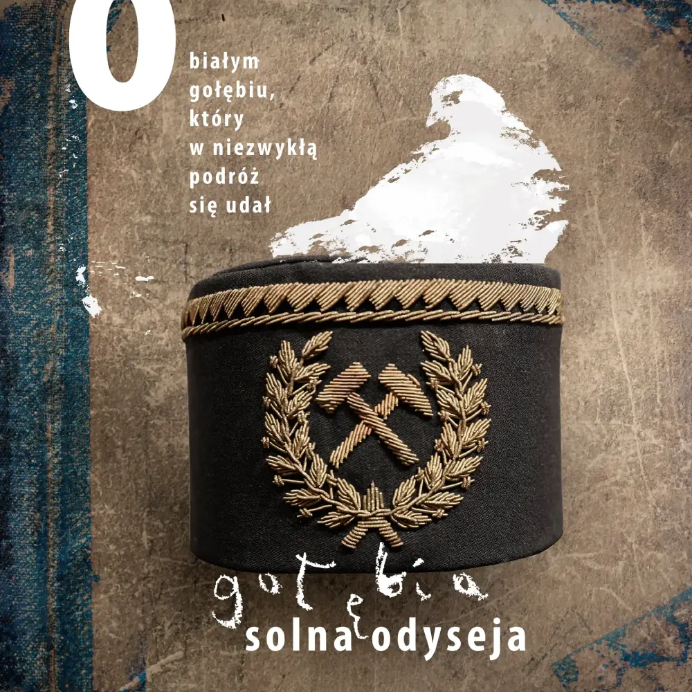 Książka Gołębia Solna Odyseja