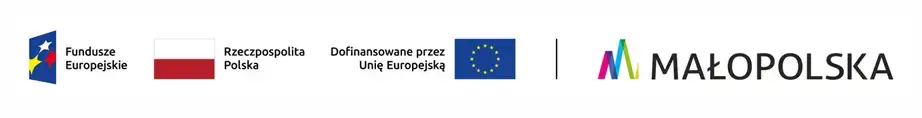 Dofinansowano przez Unię Europejską